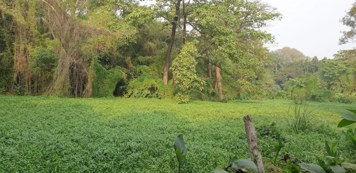 Guru Govind Singh Park, Bhopal, Madhya Pradesh - Vushii.com